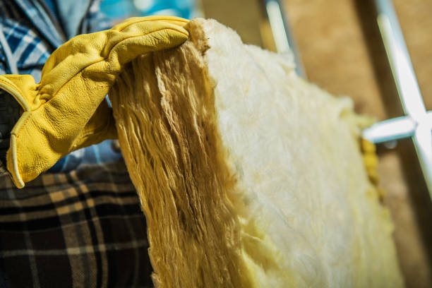 Best Insulation Repair Services  in Avra Valley, AZ